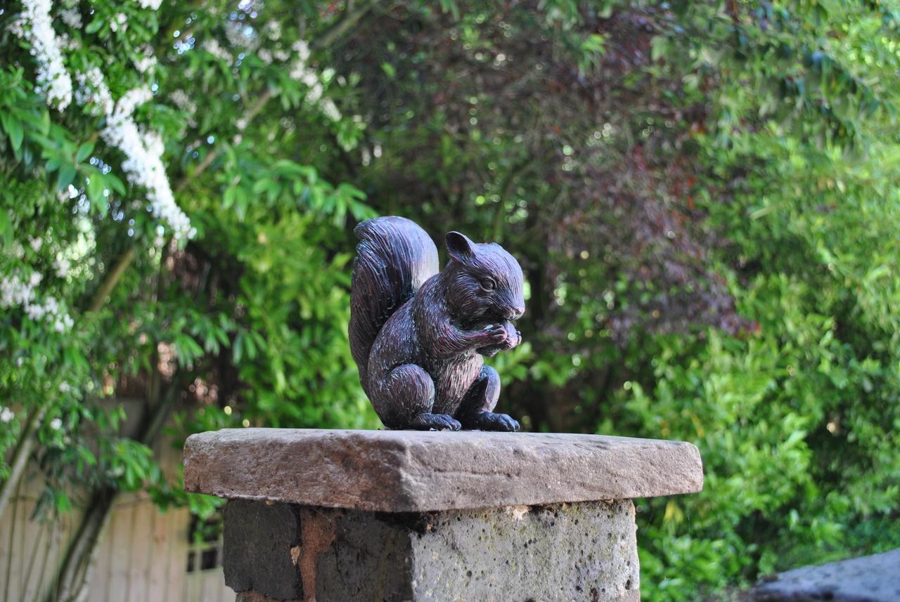 Squirrel Barn Villa Milwich Exterior photo